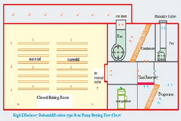 Fruit and vegetable dryer