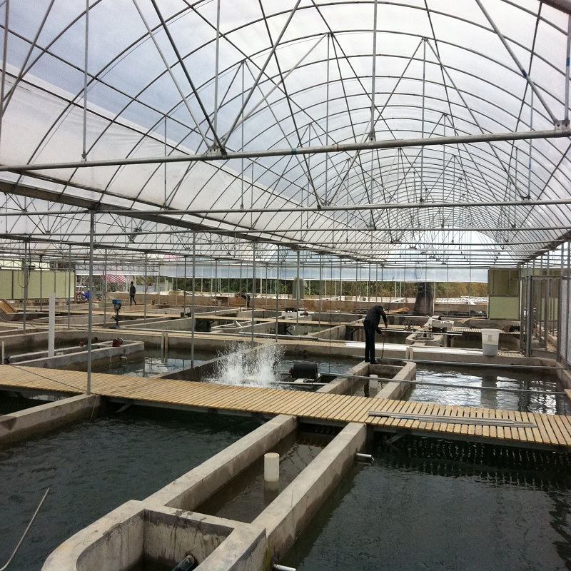 Five methods of constant temperature aquaculture, H.Stars heat pump effectively solves water temperature control problems